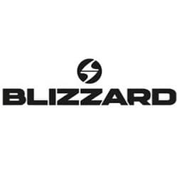 Logo Blizzard